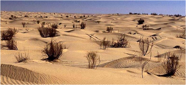 13164121eb7669eba34492.png 圖片1.png