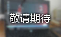 半價車“送”上手 你最想要哪一臺？（8月11日）1444.png