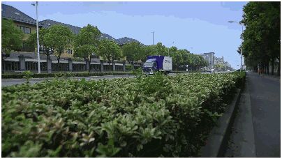 點擊這里看大圖