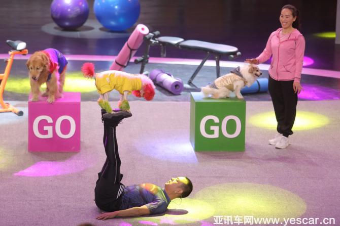 20200036b0246bbecf2642.png 圖片4.png