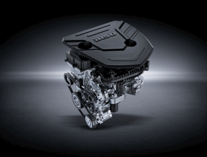 281131057c7f017c309193.gif image004.gif