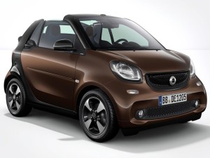 smart smart fortwo 2017款 15th Anniversary敞篷版