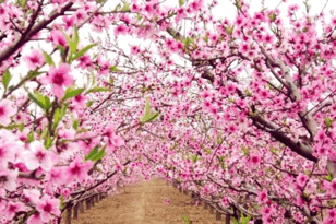 291557173d005727674500.gif image002.gif