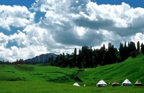 31164604d24c02b5616572.png image002.png