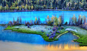 311646162444cd85e17444.png image004.png