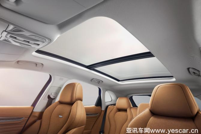 23160335a7f29666582306.jpg image005.jpg