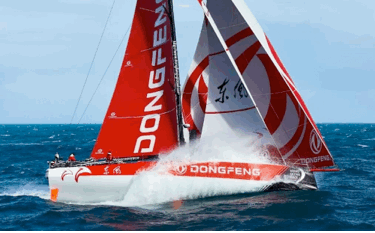 11153253d4403ea62a1856.gif image013.gif