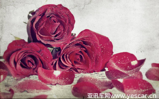 【新哈弗h6 coupe智聯(lián)版產(chǎn)品介紹稿】如何玩轉(zhuǎn)情人節(jié) “智能先鋒”的浪漫美學(xué) 三審149.png