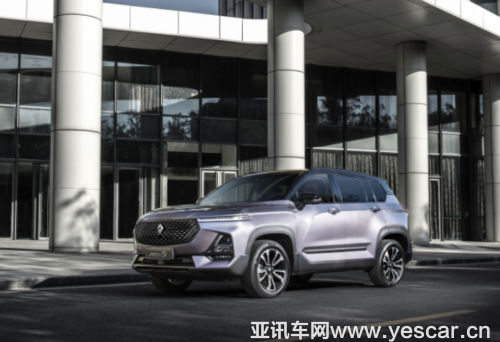 011808106a132576f10551.png 新寶駿rs165.png