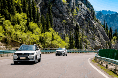 24115610de8cb15ea76944.gif image006.gif