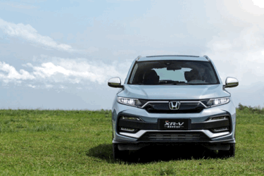 09095218455a7ed1905654.gif image001.gif