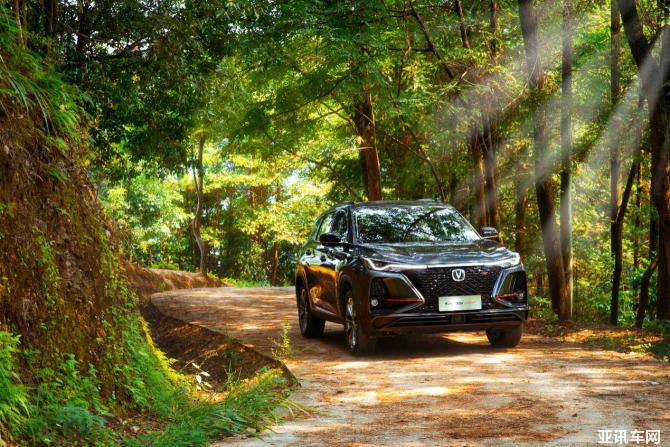 301052140dff26686a1198.jpg image005.jpg