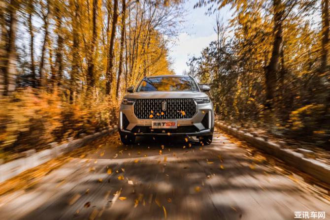 23170013daf49c81eb0711.jpg image001.jpg