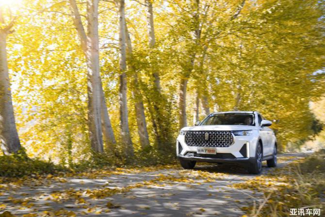 231700181f14b73cad0167.jpg image002.jpg