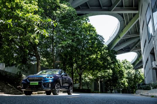 290937090716920f9a6112.jpg image004.jpg