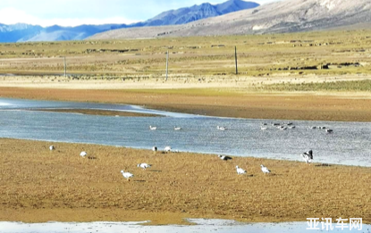 15153824ced3a4f92a1601.png image012.png