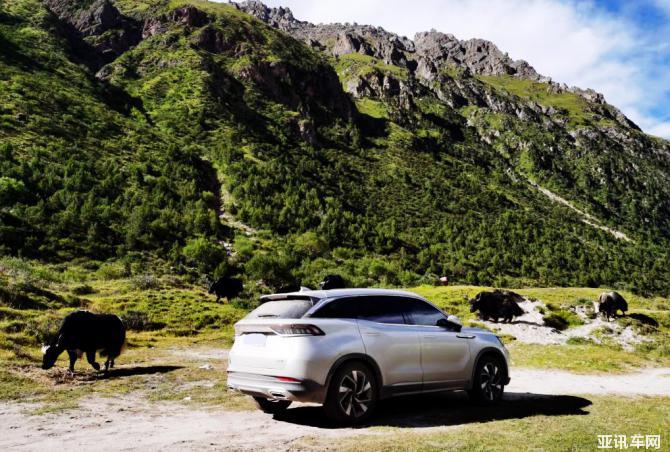 15153840c2a6ebff6a0683.jpg 15153840c2a6ebff6a0683.jpg