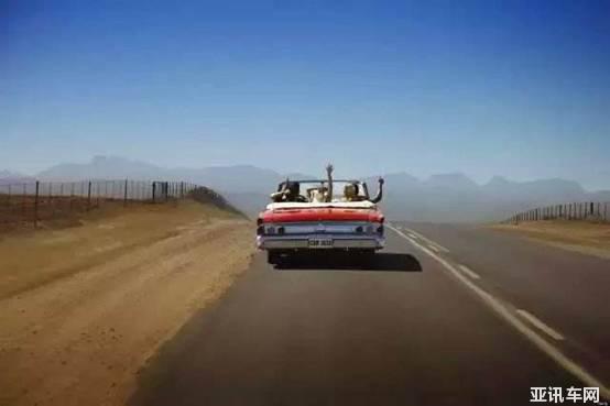 17172052625f3d776d1838.jpg image003.jpg