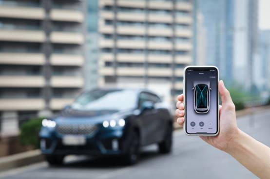 18100708c6fcb52ac68257.jpg image004.jpg