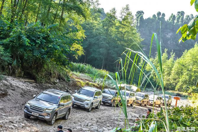 011445538a3ee278203263.jpg image005.jpg