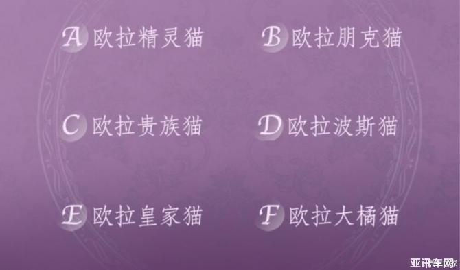 13092617ff504989c16234.jpg image004.jpg