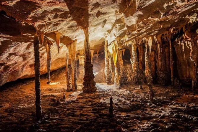 23104731098e7d9ab72423.jpg image004.jpg