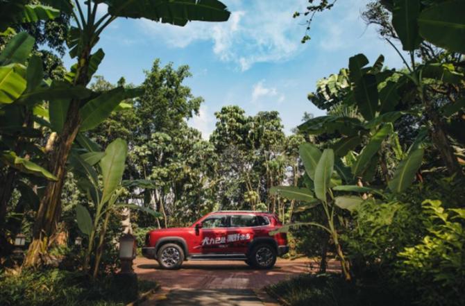 29155148605966c0341860.jpg image002.jpg