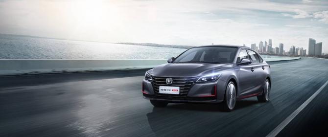 301931511d890678a14119.jpg image002.jpg