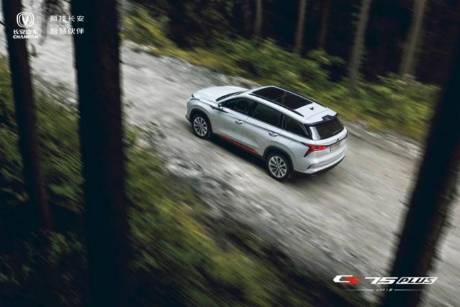 19185234c66520e2c67118.jpg image004.jpg