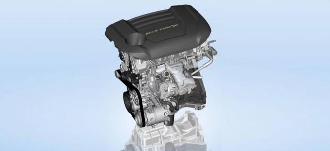 021559206e8772898a9422.jpg image003.jpg