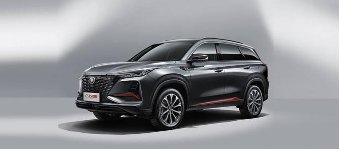 22175957c6e134c7d57173.jpg image003.jpg