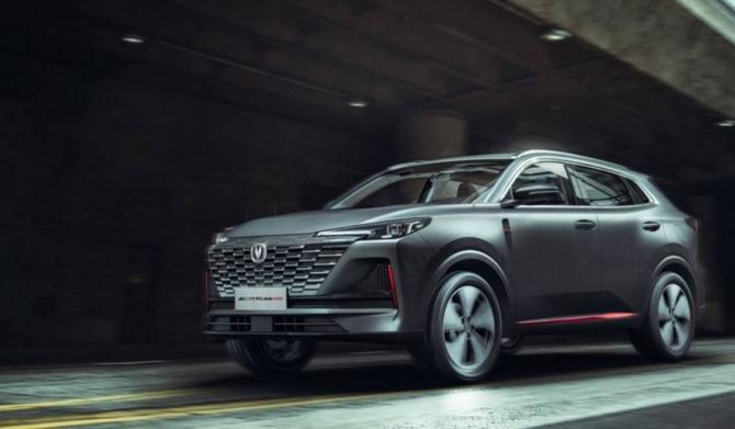 111502382a74a527099972.jpg image002.jpg