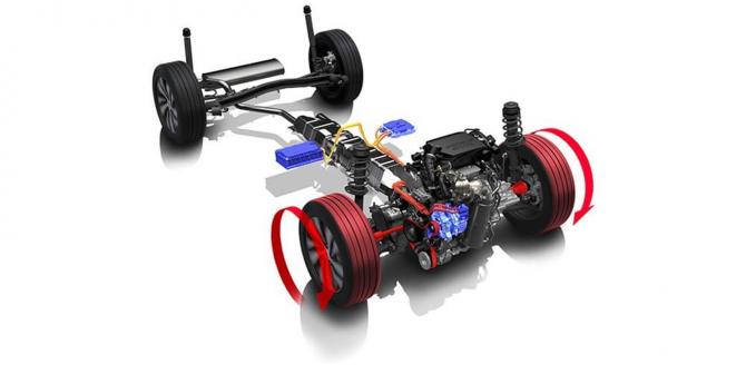 26083407fb20c41d259706.jpg image009.jpg