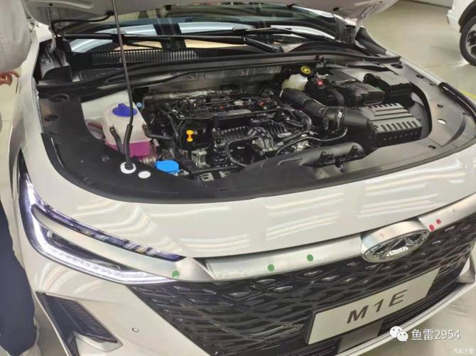 310845492e99de10e24073.jpg image006.jpg