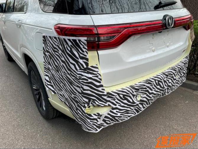 11084712821688fcd35806.jpg image004.jpg