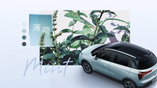 14084622cf20812be73483.jpg image004.jpg