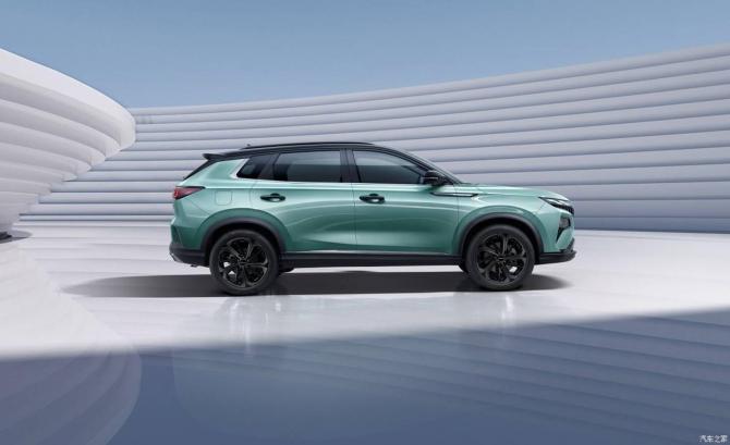 14084754d2b63ace567832.jpg image004.jpg