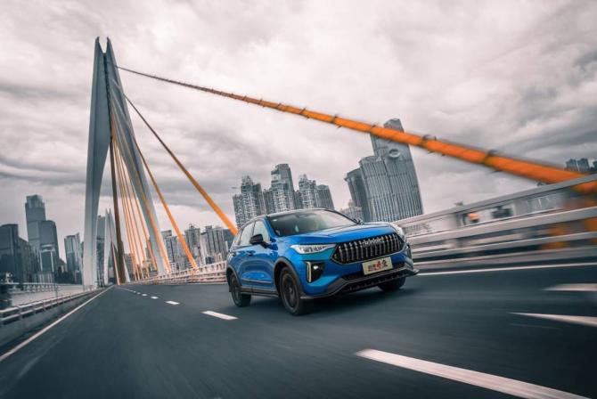 2017273451869ff6995033.jpg image005.jpg