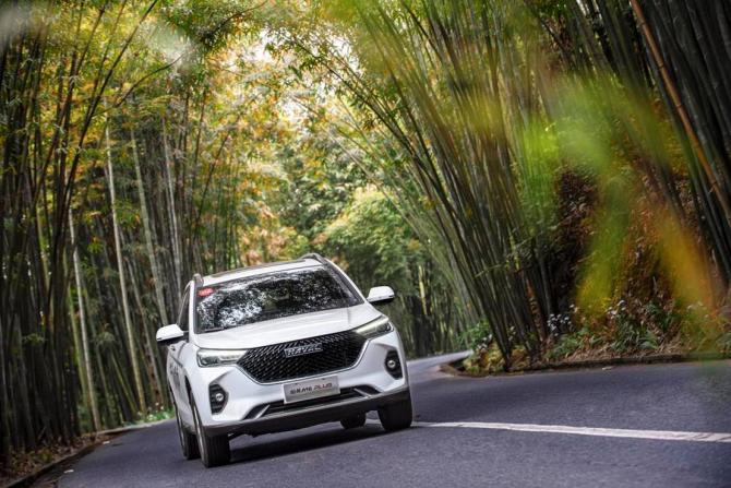 261555556772855abd7965.jpg image005.jpg