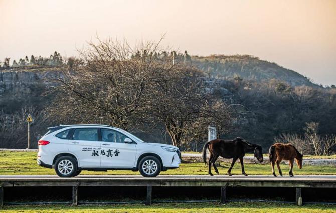 261556105224beecc05920.jpg image001.jpg