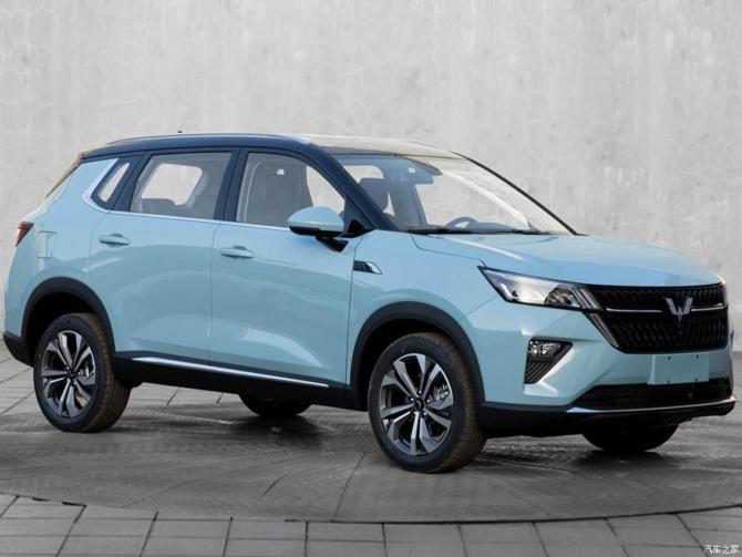 2500022323a4ae465e5925.jpg image005.jpg