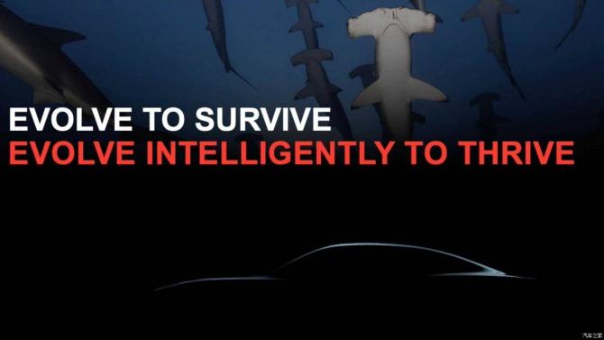 04085418883d1ff23d9650.jpg image004.jpg