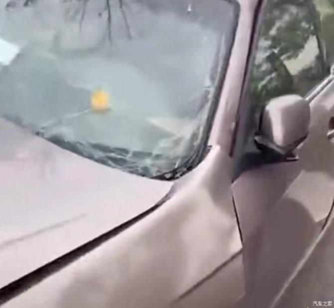 0909345693d45370ea1626.jpg image002.jpg