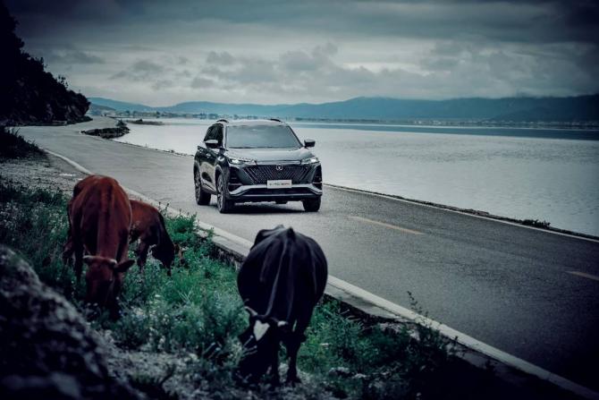 2119234031cb02ddf40593.jpg image001.jpg