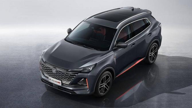 19141500f16f72a30f7701.jpg image004.jpg