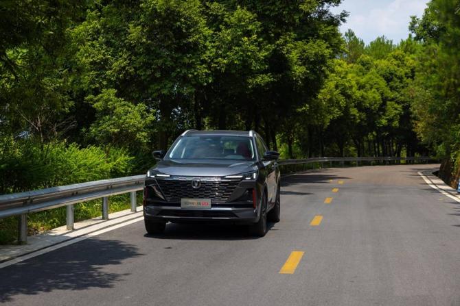 251100309170489fd33377.jpg image005.jpg