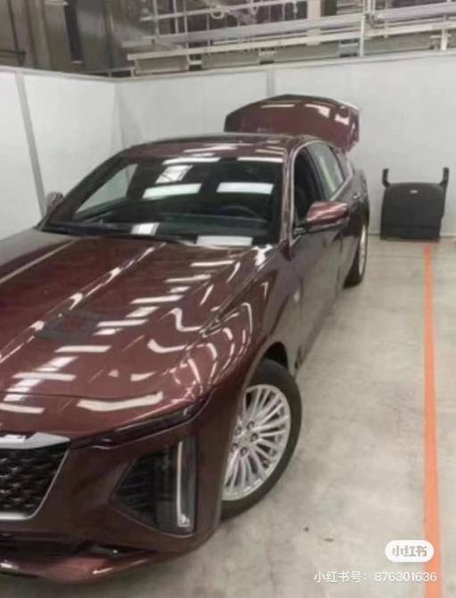 1400133033a7a0c68c6302.jpg image002.jpg