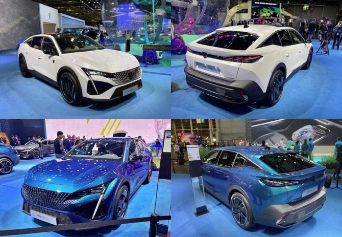 1208362826687ed69f7930.jpg image006.jpg