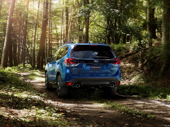 252222184d71bc548f7750.jpg image003.jpg