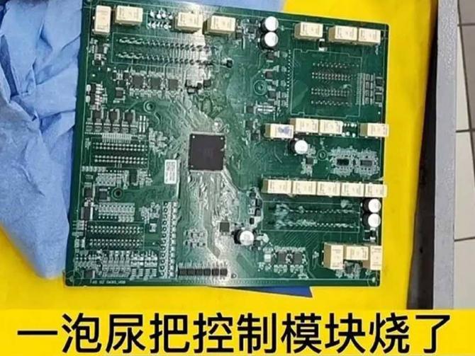 07091956dec8813e894139.jpg image001.jpg